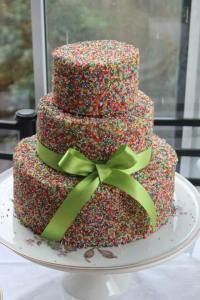 13925051_10209903402970183_9112823819442259808_n